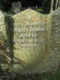 image of grave number 631842